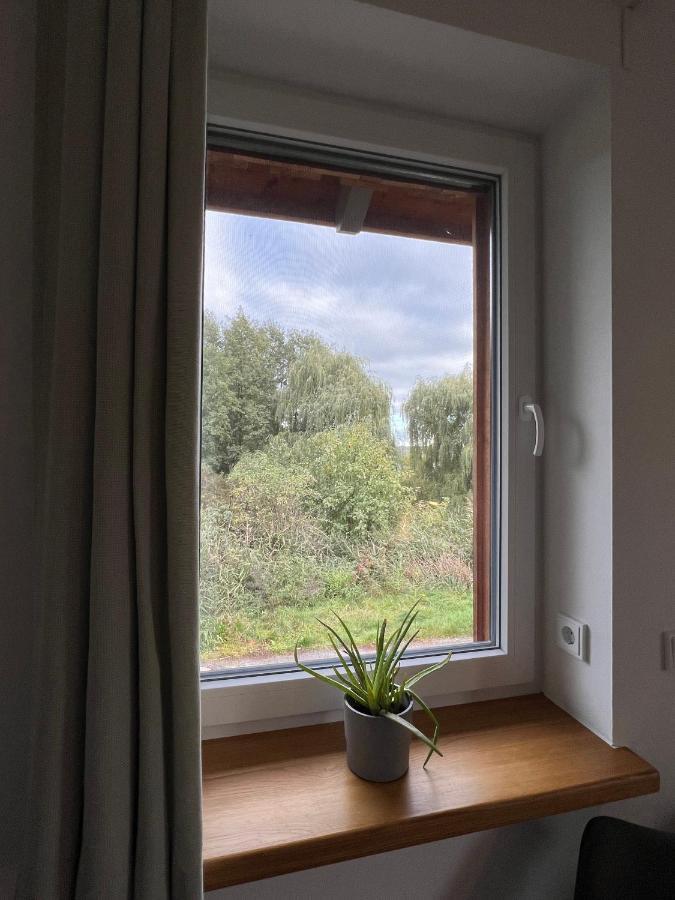 Ferienhaus Auszeit Mit Sauna Schwarz エクステリア 写真